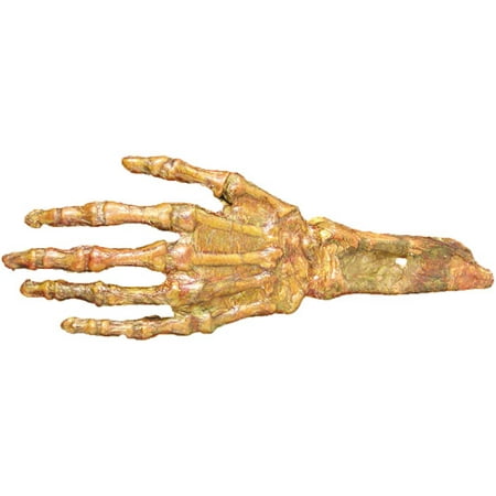 Life-Size Hand Rotted Flesh and Bone Halloween Accessory