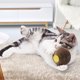 thumbnail image 1 of Juego de entrenamiento interactivo para gatos, pelota de juguete de cartón corrugado con menta (bola redonda de 7,6*7,6 cm) ShuxiuWang 8390611608927, 1 of 1