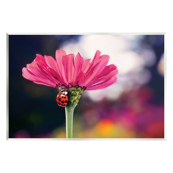 Stupell Industries Ladybug with Pink Flower Animals & Insects Photography Unframed Art Print Wall Art, 15 x 10