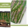 thumbnail image 4 of LEEYNEER Reptile Box Backdrop Reptile Fogger Terrarium Background Landscape Photography Board Reptile Tank Background, 4 of 6