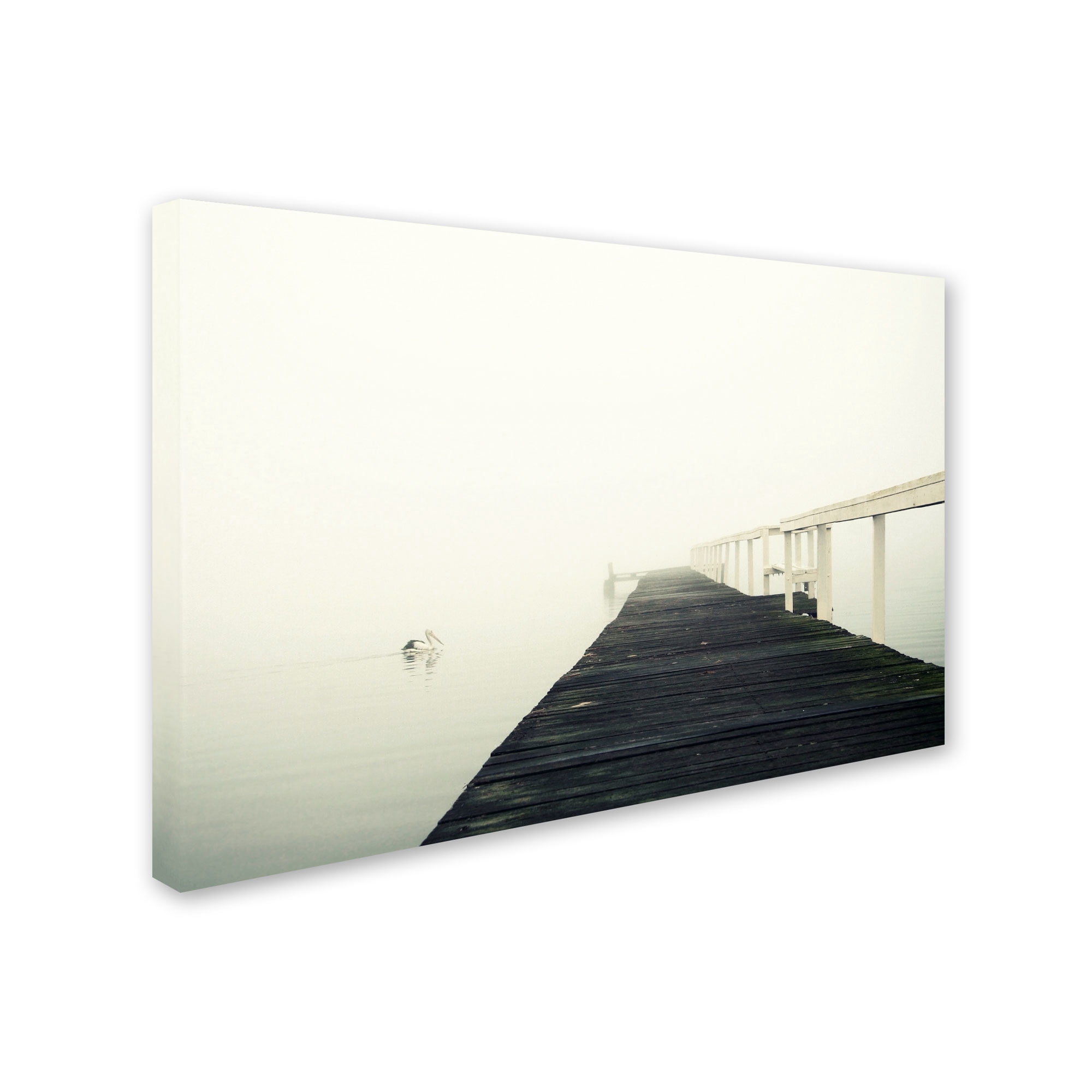 Trademark Fine Art "No View" Canvas Art by Beata Czyzowska Young