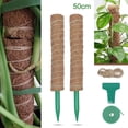 thumbnail image 3 of Extendable Poles Coir Poles for Garden Courtyard Monstera Climbing Plants 50cm Set, 3 of 7