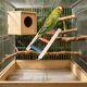 thumbnail image 4 of Juguete de escalera de madera para pájaros con gimnasio de actividades colgante, multicolor, accesorios para jaulas de aves pequeñas para trepar, morder, hacer ejercicio y jugar., 4 of 6