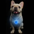 thumbnail image 3 of Luces LED de Seguridad ZHAOCHENG Linterna con Clip para Collar de Perro y Gato Verde Claro, 3 of 5