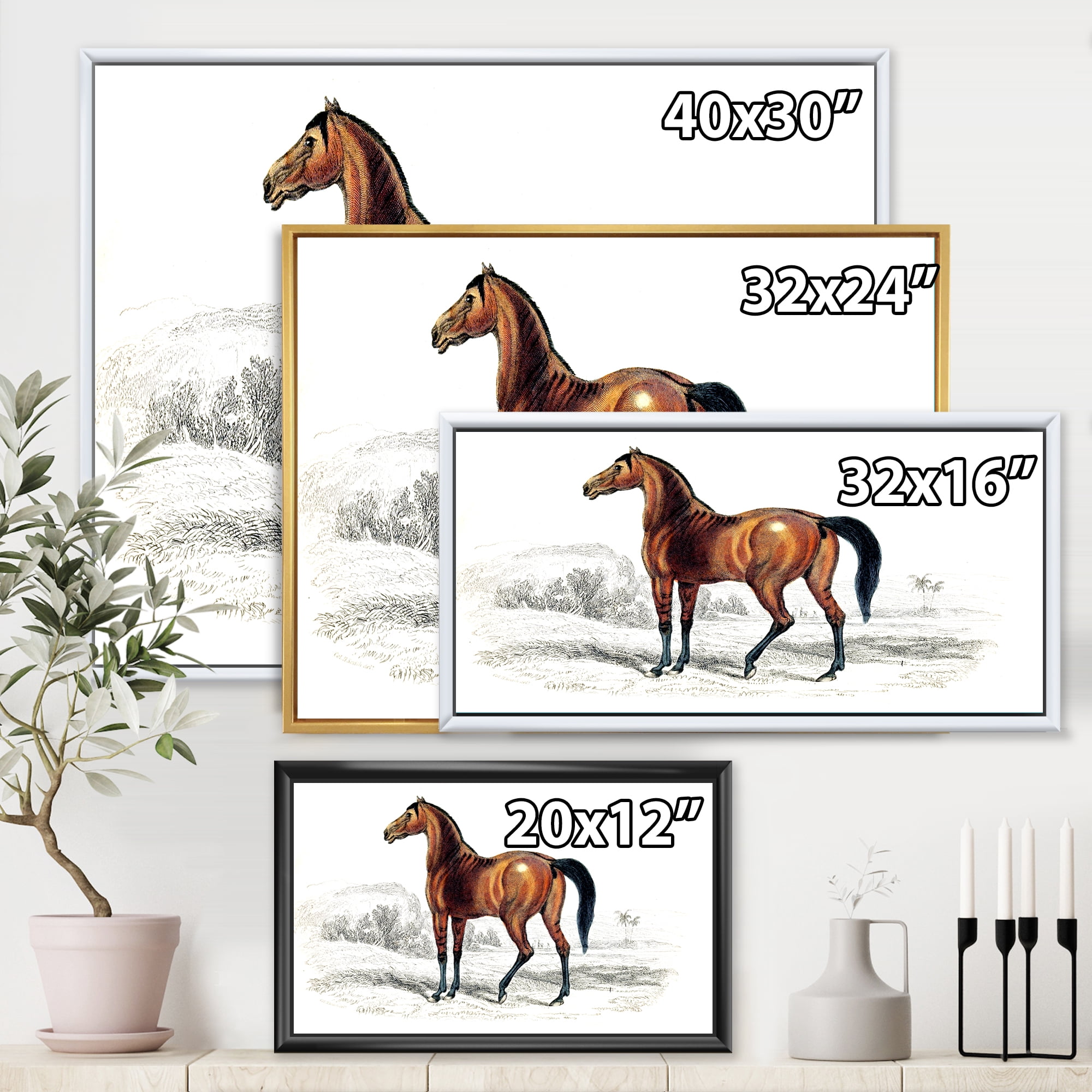 Designart 'Ancient Horse' Farmhouse Framed Canvas Wall Art Print