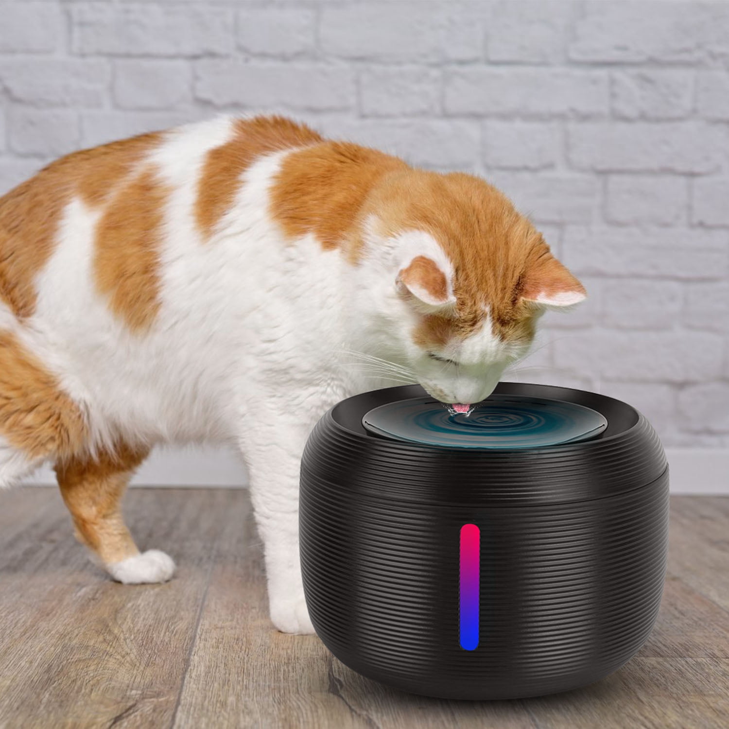 iMounTEK 2.5L Pet Fountain- Automatic water fountain with LED Light for cats & small dogs, fresh water, Silent Pump, Automatic Cleansing, filters included