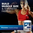 thumbnail image 6 of GAT SPORT JetMass Fact-Acting Volumizing Creatine System, 30 Servings (Tropical Ice), 6 of 6