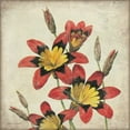 thumbnail image 2 of Marrott, Stephanie 20x20 Gold Ornate Wood Framed with Double Matting Museum Art Print Titled - Red Lily Flower, 2 of 4