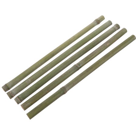 unbranded 5Pcs Bamboo Stakes for Plants Bamboo Plant Trellis for Indoor Potted Plants Garden Bamboo Tubes Decors