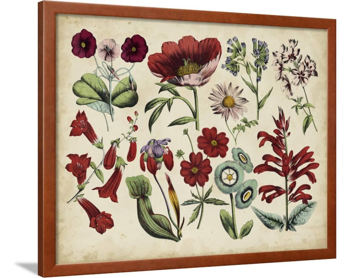 Framed Flower Sea Glass Art Mother's Day Gift Flower Art 4 by 4 Tulip Gifts Gardeners Gift Floral Decor Original Botanical Decor