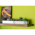 thumbnail image 3 of Veradek Geo Series Trough Planter - Stainless Steel, 3 of 12