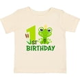 thumbnail image 3 of Inktastic 1st Birthday Prince Frog Boys Baby T-Shirt, 3 of 5