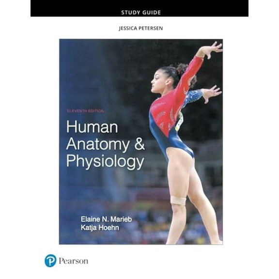 Pre-Owned Study Guide for Human Anatomy & Physiology (Paperback) 0134760239 9780134760230