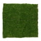 thumbnail image 1 of Lámina de musgo artificial para microdecoración paisajística, simulación de césped artificial, plantas verdes para exteriores, accesorios para decoración del hogar, proyectos de manualidades., 1 of 6