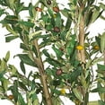 thumbnail image 4 of Nearly Natural 5258 Olive Silk Tree, 5-Feet, Green,9" x 9" x 62.5", 4 of 4