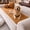 Orange, variant on Nalqet 27.6×59.06 inch Plush Sofa Slipcovers Checkered Pattern for 2 Cushion Couches – Washable Fuzzy Non Slip Furniture Protector Couch Cover for Pets and Dogs Cats, Beige White