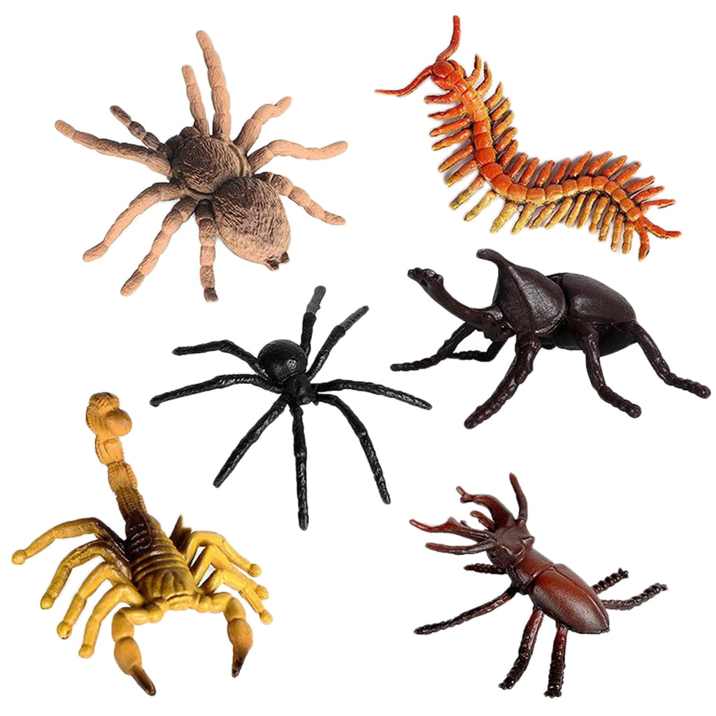 Assorted Spiders 5cm Pack Of 