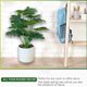 thumbnail image 5 of Planta de banyan artificial, planta en maceta blanca, regalo perfecto para inauguración de la casa. Vhermosa CPB-YL595-3, 5 of 5