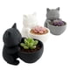 thumbnail image 5 of Mini maceta con forma de gatito, maceta para suculentas, bonita maceta para gatos, decoración de escritorio para el hogar, maceta para gatitos, regalo para amantes de los gatos., 5 of 8
