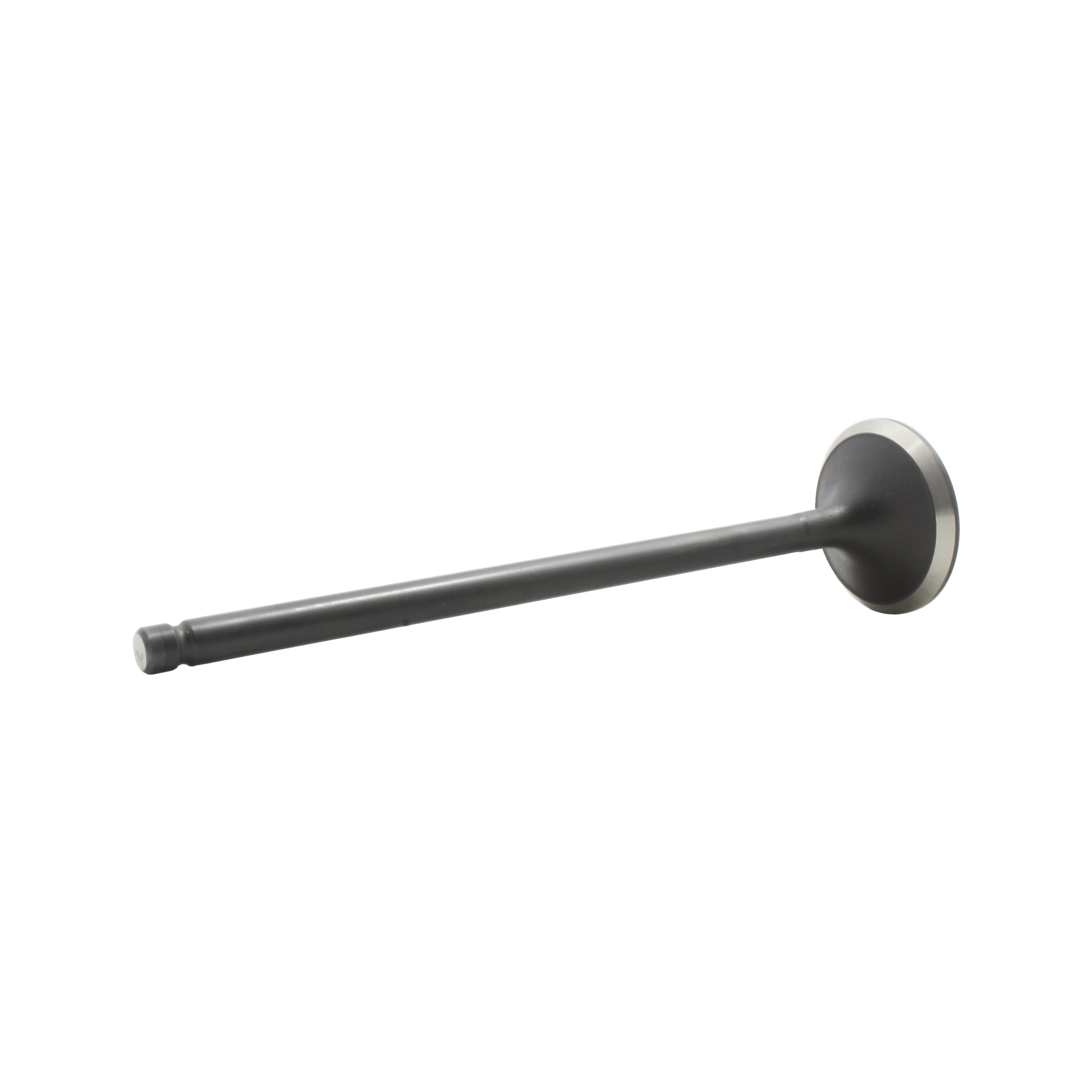DNJ EV245 Exhaust Valve Fits Cars & Trucks 94-02 Acura Honda Accord CL 2.2L-3.5L L4 V6 SOHC 16v