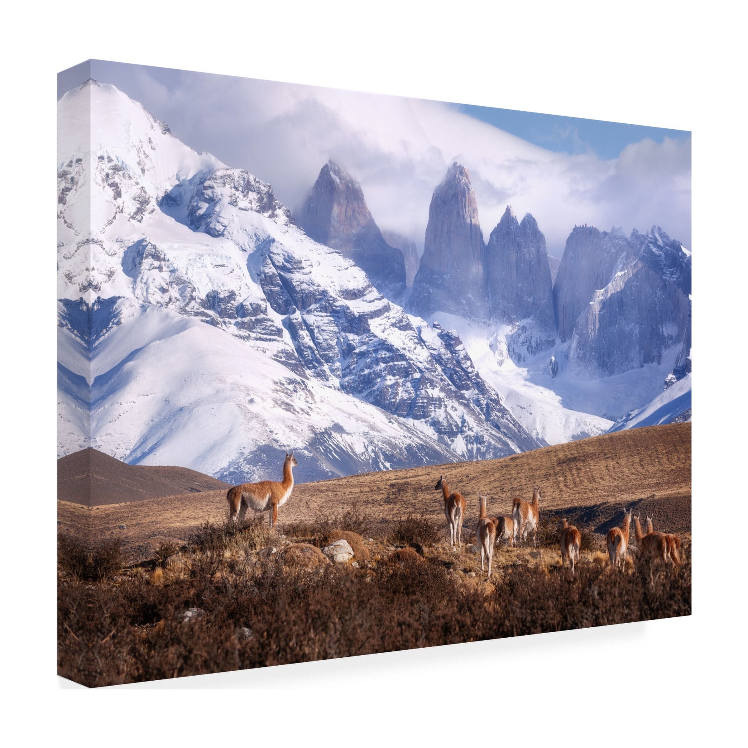 Oleg Rest 'Guanakos In Patagonia' Canvas Art