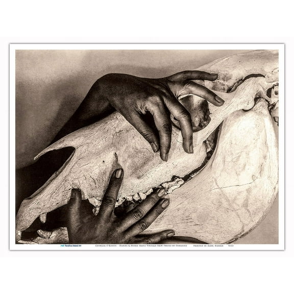 Georgia O’Keeffe – Hands and Horse Skull - Vintage B&W Photograph by Alfred Stieglitz - Master Art Print (Unframed) 9in x 12in
