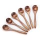thumbnail image 1 of Cucharas de madera mágicas ecológicas, agarre cómodo, artesanía exquisita para una alimentación natural y saludable, diseño elegante con madera responsable y sostenible (6 piezas), 1 of 7