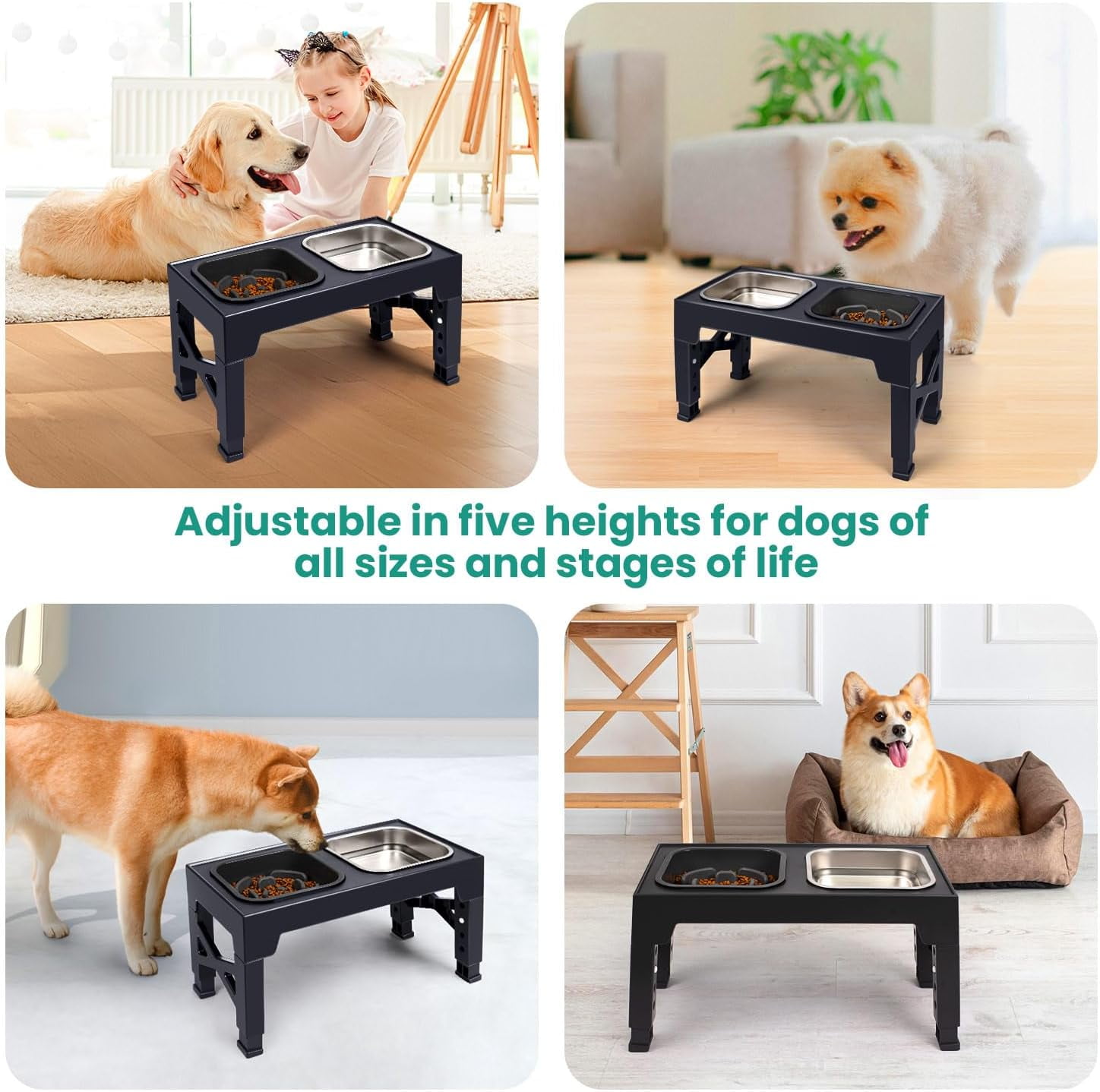 Elevated Dog Bowls, 5 Adjustable Heights Raised Dog Bowl Stand, with 2 Stainless Steel Dog Food Bowls and 1 Slow Feeder Dog Bowl
