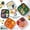 Style B,(5PCS-Square), variant on Evjurcn 6Pcs Divided Dinner Plates 3 Compartment Unbreakable Dinner Diet Plates Stackable Portion Control Dish Reusable Divider Plates Microwave Dishwasher Safe for Kids Adults Seniors