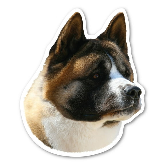 Akita Dog Magnet