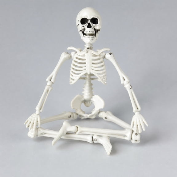 Miwamany Halloween skeletons 12Inch Skeleton Decoration Realistic Human Skull Model, Posable Joints Figurine Scary Prop for Party House Yard Indoor Outdoor