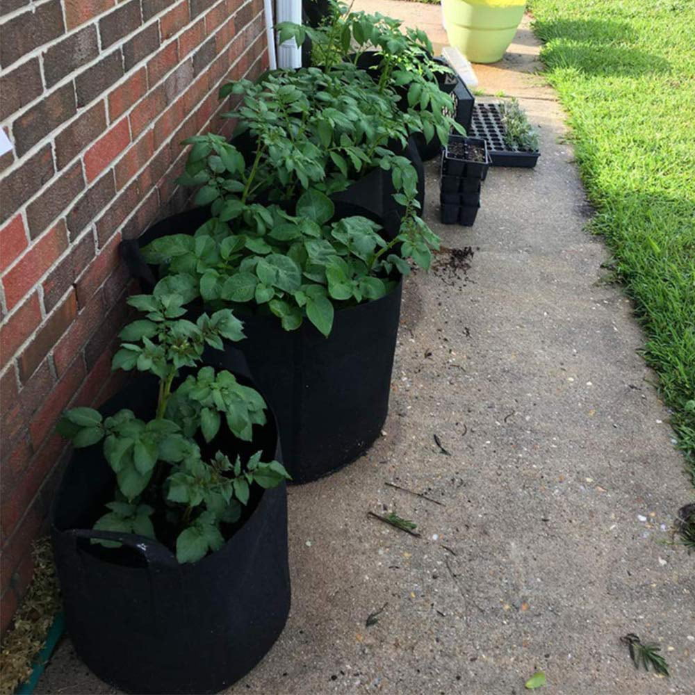 33cm x 35cm Scoolr Potato Grow Bags 2 Pack 7 Gallon Grow Bags Aeration Fabric Pots Garden Planter Bags with Flap for Grow Vegetables Potato Carrot Onion Tomato