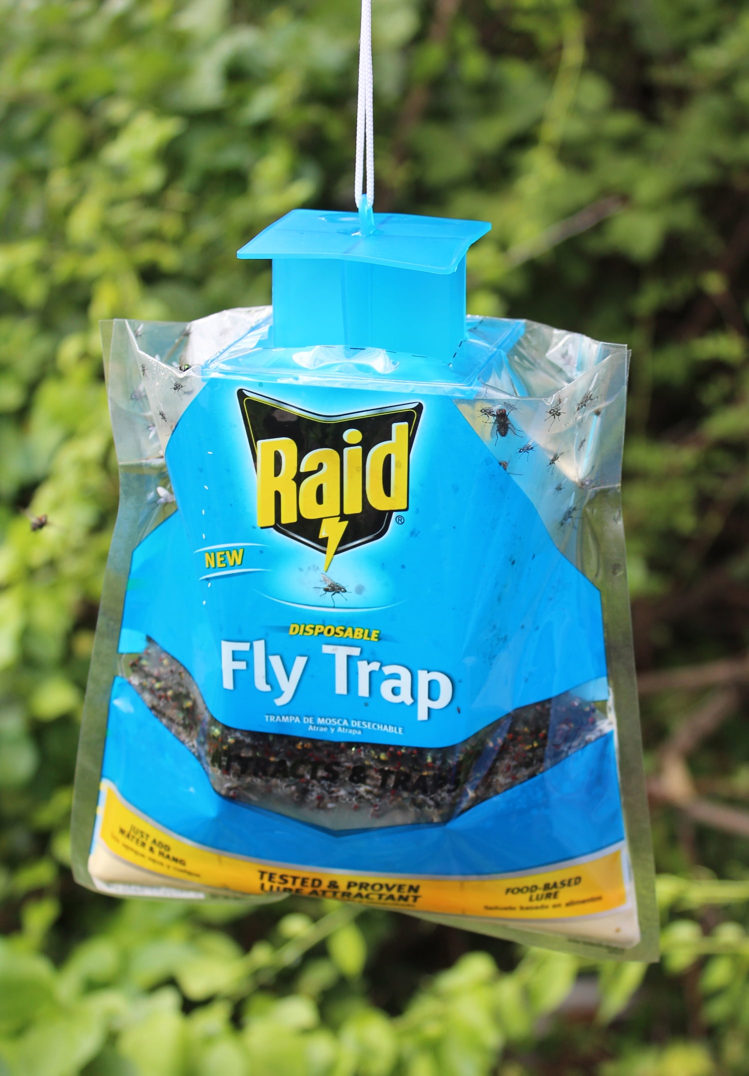 Raid 2025 fly catcher