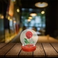thumbnail image 2 of 2 Pcs Glass Dome Display Cases for Collectibles Cloche Small Snowglobe Household Vial, 2 of 6