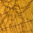thumbnail image 2 of Vision Studio 20x20 Gold Ornate Wood Framed with Double Matting Museum Art Print Titled - Natures Textures I, 2 of 4