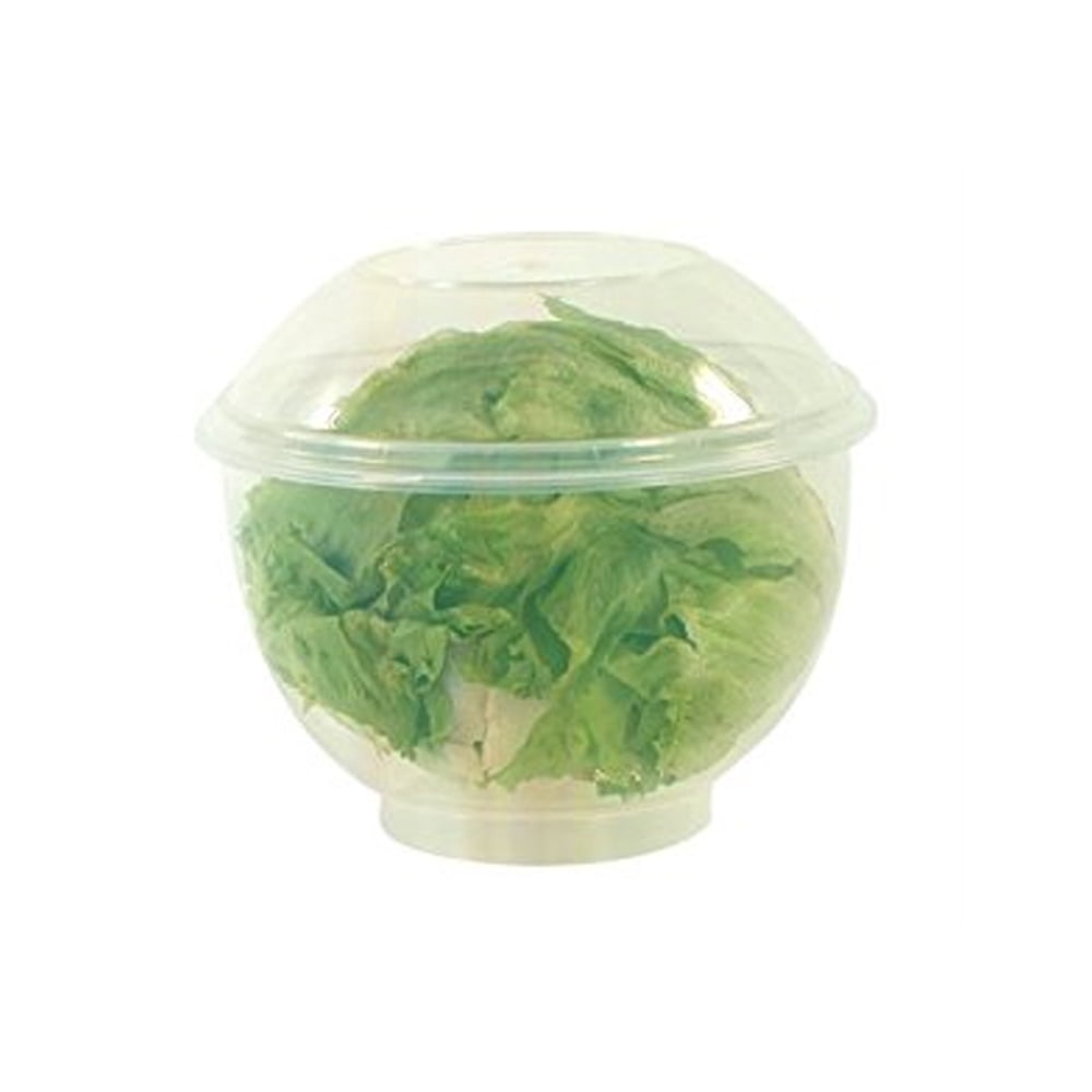 Lettuce Crisper Salad Keeper Container 