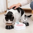 thumbnail image 5 of SIfdSeng Bols de Nourriture et d'Eau pour Chat Incluant un Double Bol de Nourriture pour Chat et un Distributeur d'Eau Automatique avec un Bol de Nourriture pour Chat, 5 of 5