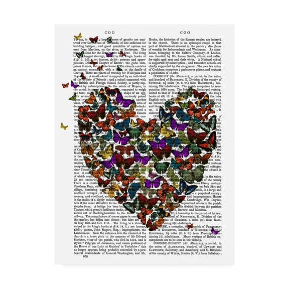 Trademark Fine Art 'Butterfly Heart' Canvas Art by Fab Funky