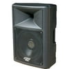 700 Watt 15'' Two-Way Plastic Molded Speaker Cabinet