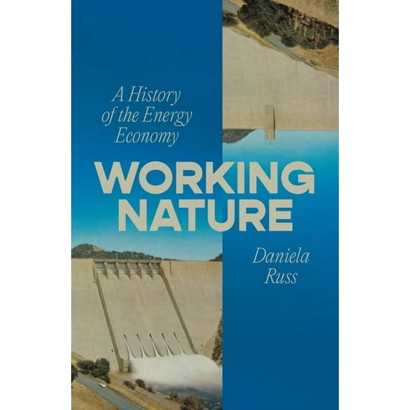 Working Nature: A History of the Energy Economy, (Paperback)