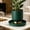 🔥 Army Green, variant on Sentmoon Plants Saucer Plants Saucers Home Garden Flower Pot Saucer Thickened Round Plastic Water Tray Control Breathable Base for Succulents Potted Plants