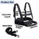 thumbnail image 3 of Children's Ski Training Shoulder Straps Ski Rope Skateboard Roller Ska, 3 of 5