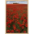 thumbnail image 2 of Common Poppies in Field, April, Framed Art Print Wall Art Sold by ArtCom, 2 of 6