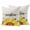 Yellow Beige, variant on Sunflowers Outdoor Pillow Covers 20x20 Set of 2,Waterproof Patio Throw Pillowcase Protectors,Yellow Plaid Sunshine Vintage Country Bee Decorative Pillow Shams Cushion Covers for Seat Bed Couch Sofa