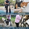 thumbnail image 6 of UOSIA Dog Lift Harness,Full Body Dog Sling Carrier with Handle,Pet Dog Leg Support Sling, 6 of 6