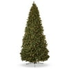 Holiday Time 12' Chemonix Pine Tree