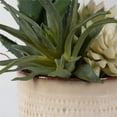 thumbnail image 5 of Uttermost Seaside Succulents Coastal Ceramic Flower Pot in Tan (Set of 2), 5 of 5