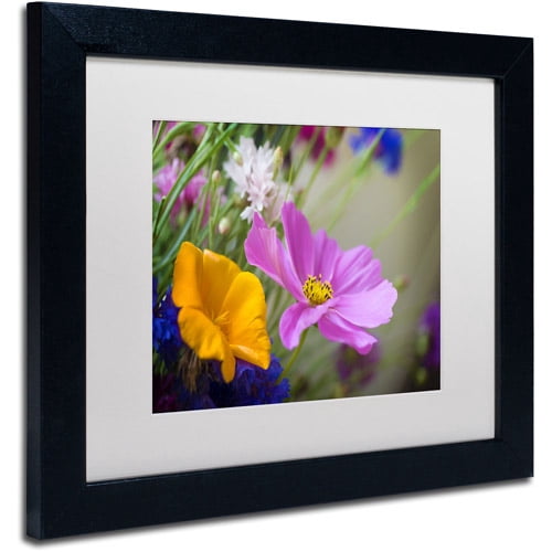 Trademark Fine Art "Cosmos of the Fields" Canvas Art by Philippe Sainte-Laudy, White Matte, Black Frame