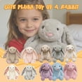 thumbnail image 6 of Kiewfjdk Easter Bunny Plush Toys Purple, 15.7" Soft Plush Bunny Stuffed Animal with Floppy Ears, Easter Decorations & Basket Stuffers, Long Ear Stuffed Rabbit Toys for Kids, Boys, Girls Age 3+, 6 of 6
