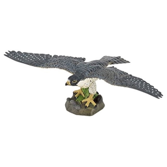 Papo Wild Animal Kingdom Hawk Collectable Animal Figure 50165 